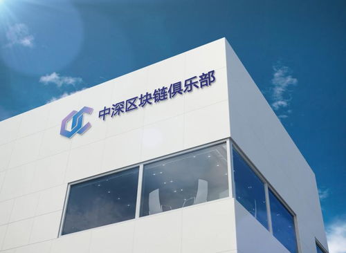 中深區(qū)塊鏈俱樂部天津軟件開發(fā) 構建創(chuàng)新與應用并重的技術生態(tài)